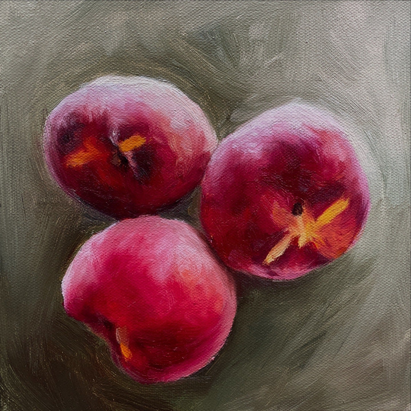1 Day Colour Theory Workshop with Caitlin Jeffs