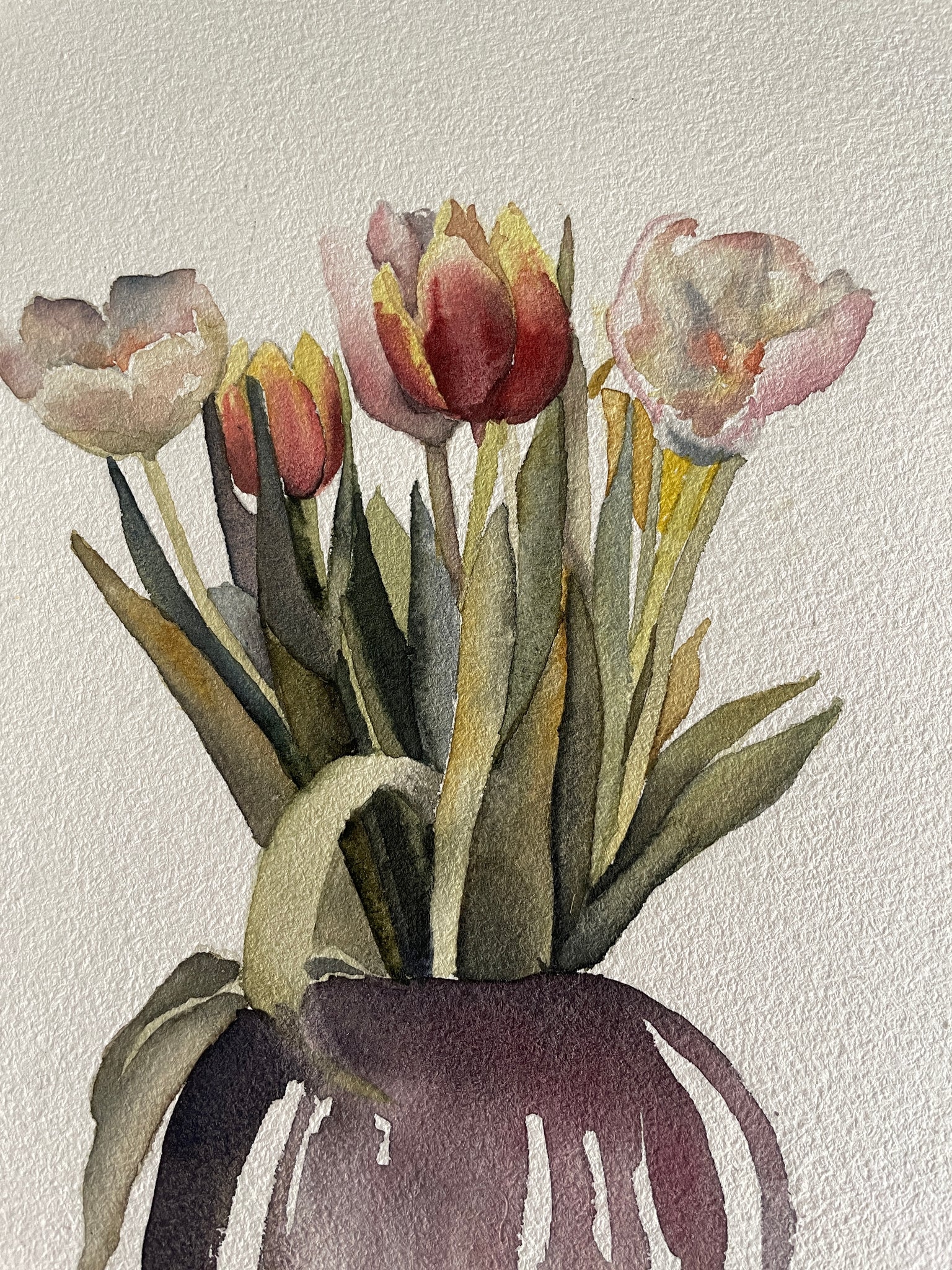 Expressions in Watercolour - Botanical Still Life Workshop with Caitlin Jeffs
