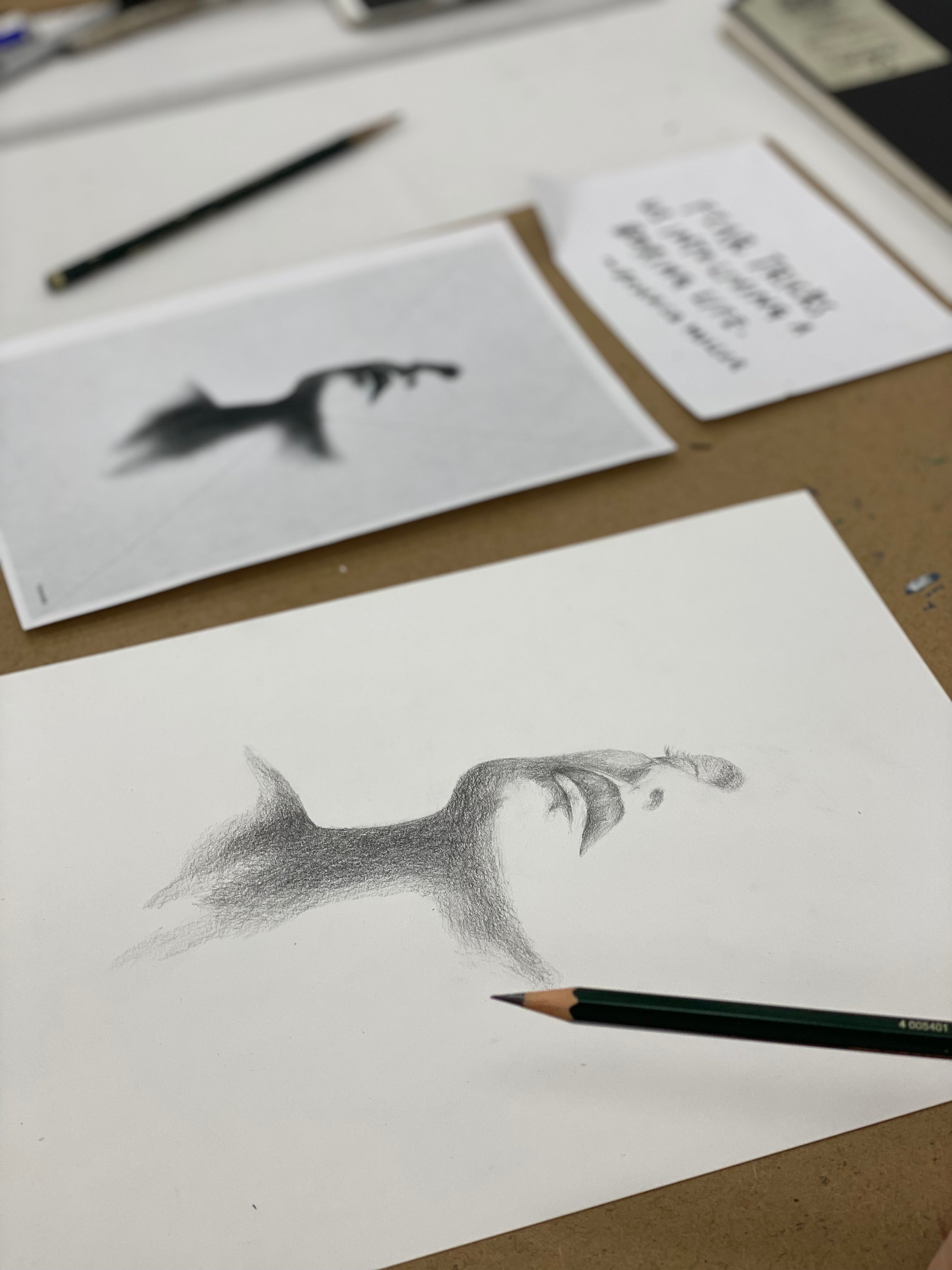 Beginner Drawing Workshop Jan 2026