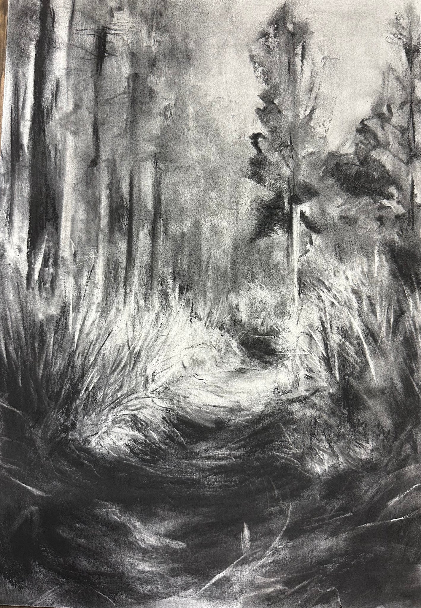 Expressive Charcoal – Creating Large Scale Works with Shyanne Clarke