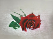 Stories in Colour - 1 Day Colour Pencil Workshop with Callum O'Shea