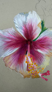 Stories in Colour - 1 Day Colour Pencil Workshop with Callum O'Shea