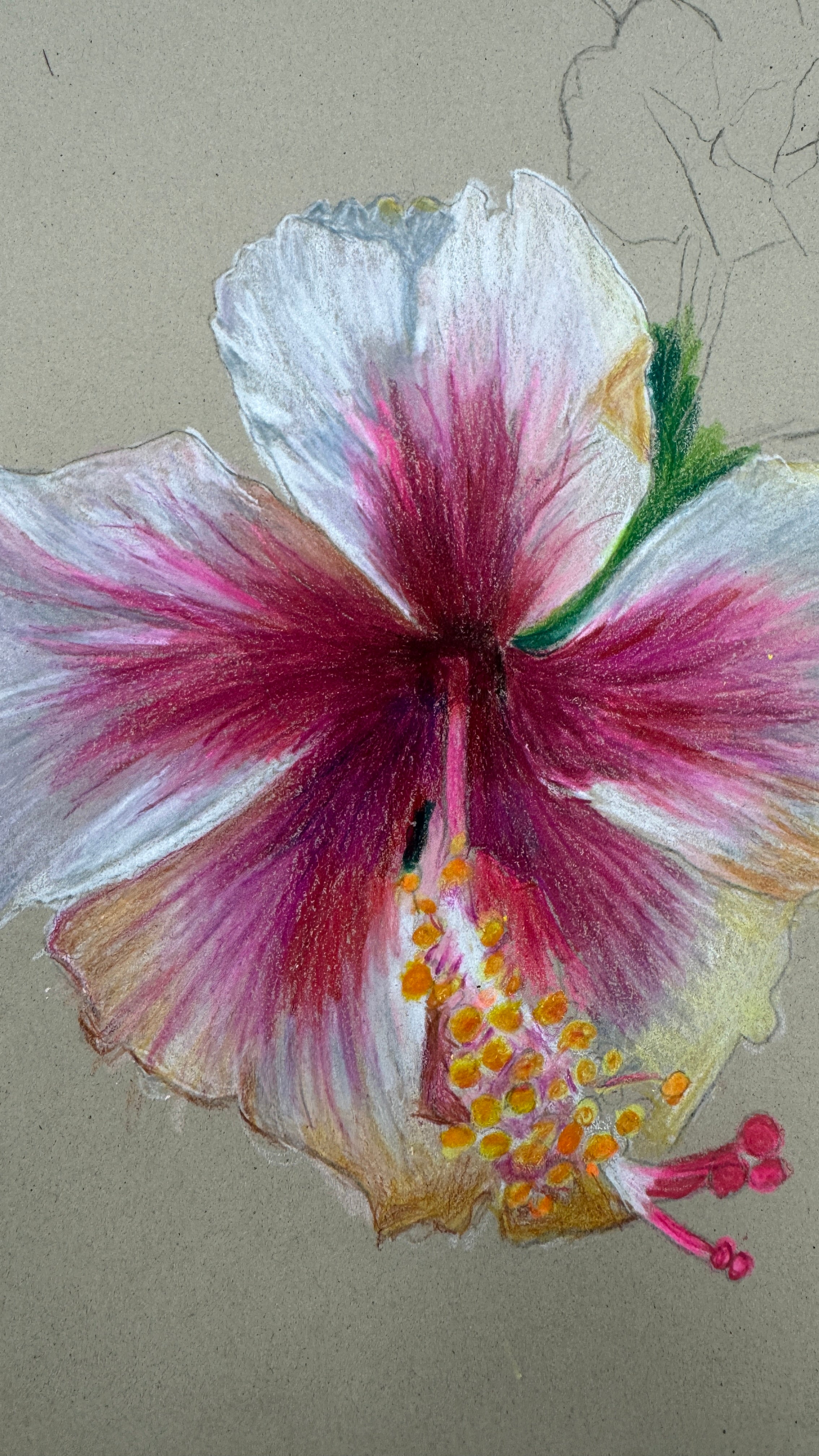 Stories in Colour - 1 Day Colour Pencil Workshop with Callum O'Shea
