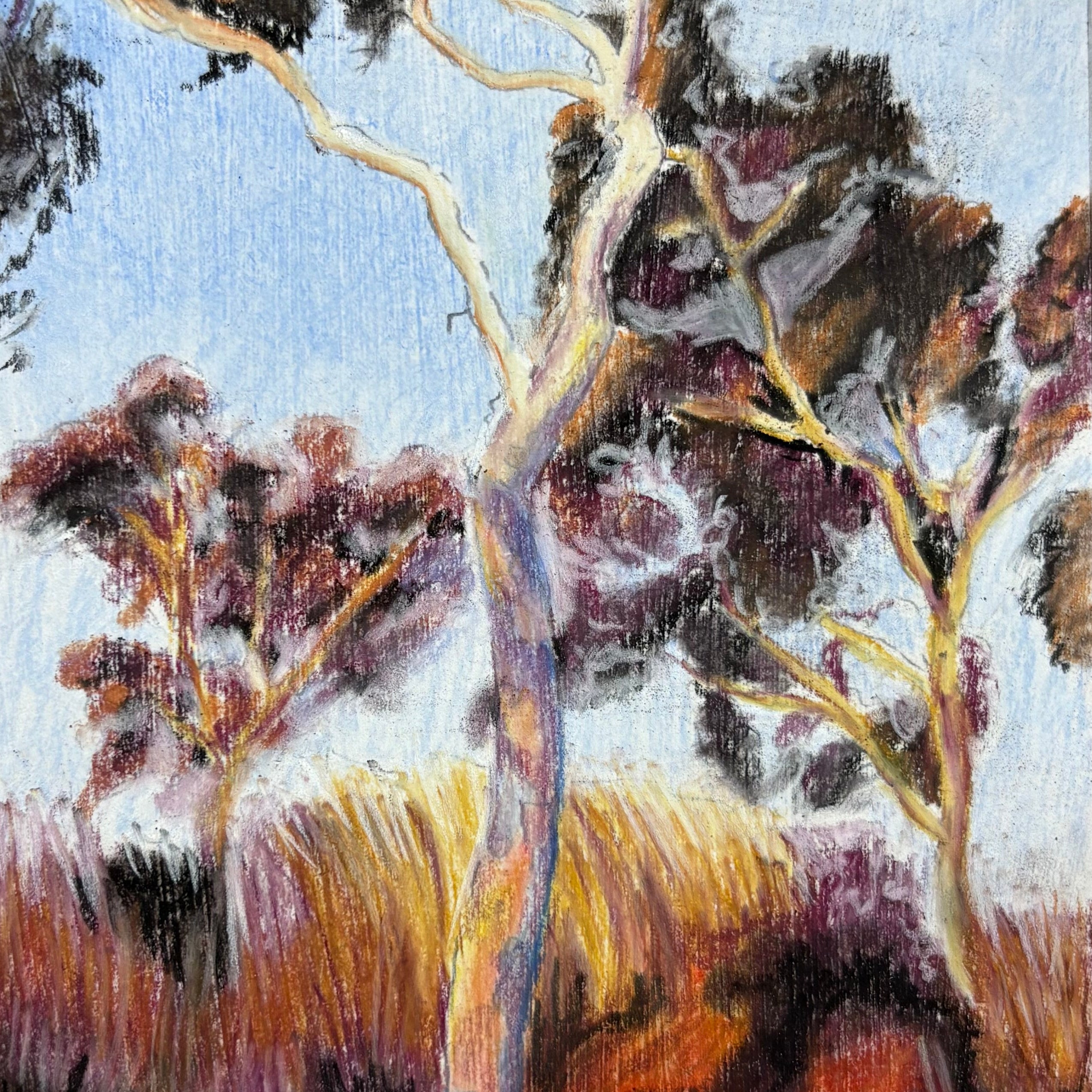 Artistic depiction of a tree with a colorful border on a textured surface