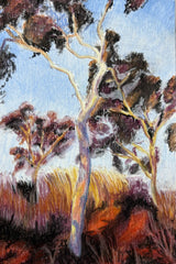 Australiana Pastels 1 Day Workshop with Callum O'Shea