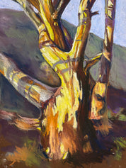 Australiana Pastels 1 Day Workshop with Callum O'Shea