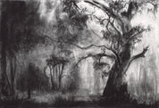 Expressive Charcoal – Creating Large Scale Works with Shyanne Clarke