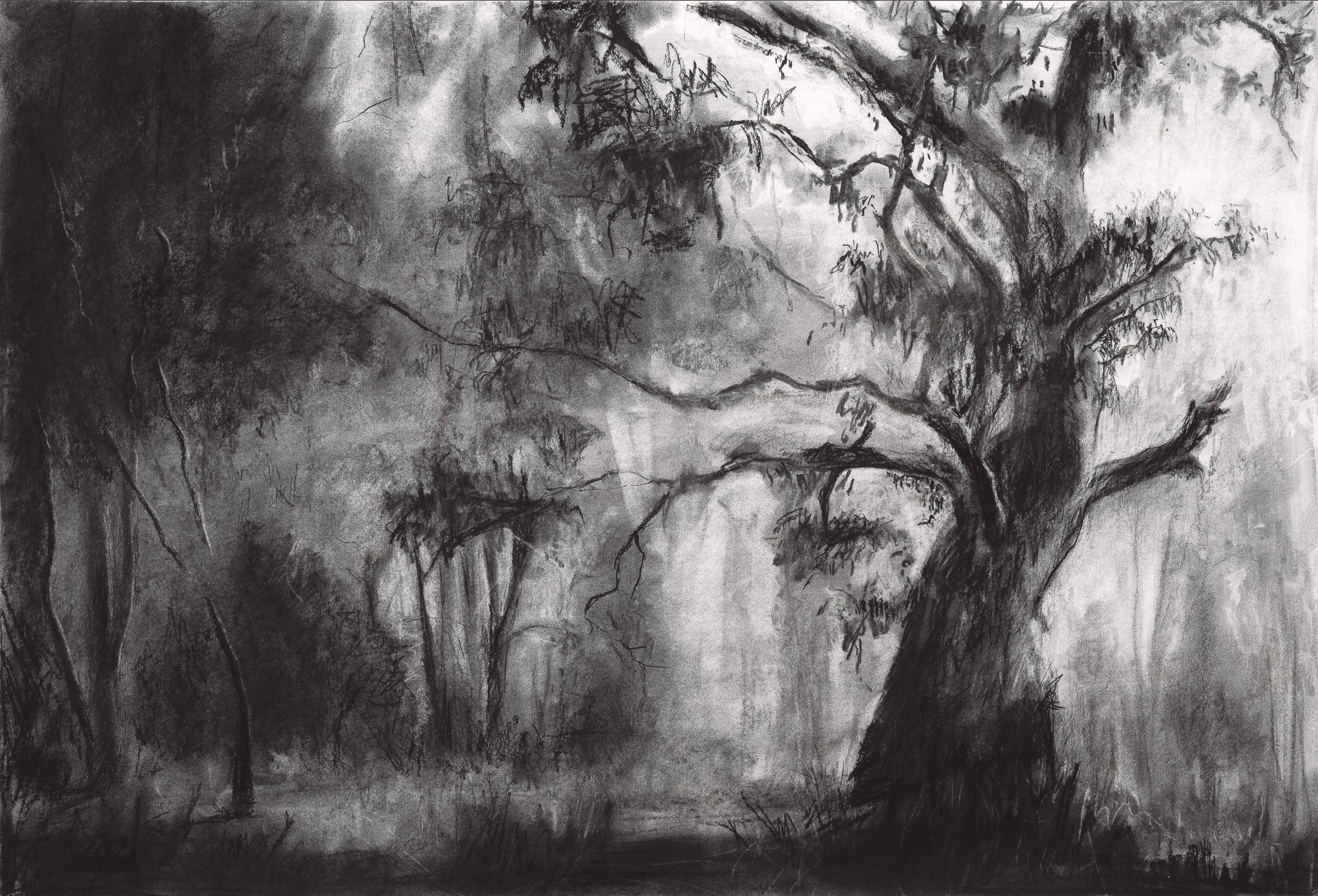 Expressive Charcoal – Creating Large Scale Works with Shyanne Clarke